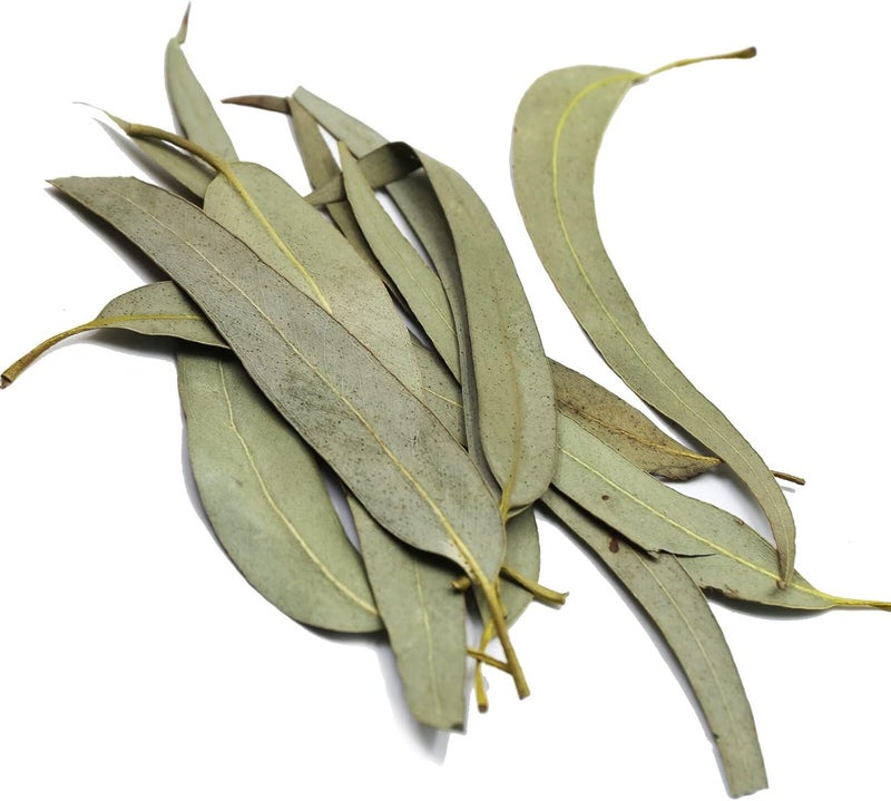 FullChea Dried Eucalyptus Leaves - 4oz - Image 2